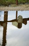 Mailbox Reflected in Puddle