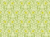 Floral seamless pattern, vector