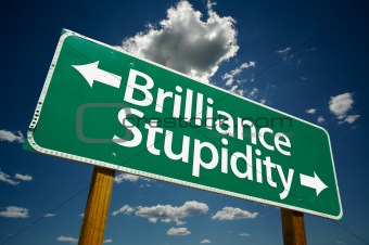 "Brilliance, Stupidity" Road Sign