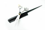 steel scissor w/ comb