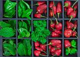 Red chili peppers and herbs