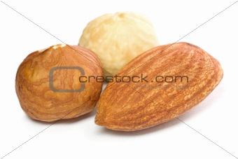 Hazel and almond nuts