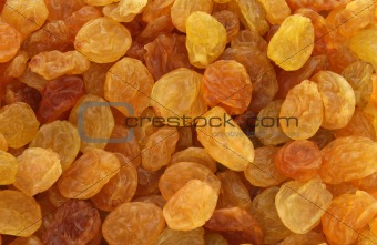Golden yellow raisins background