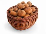 Hazelnuts filling a basket