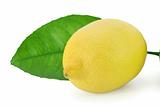 Fresh lemon with lemon leaf