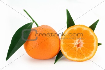 Mandarin orange - citrus reticulata