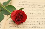 Old sheet music with rose