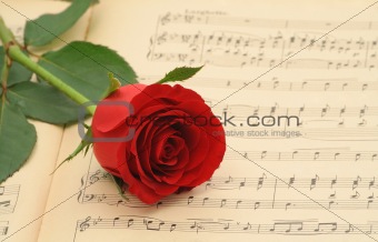 Old sheet music with rose