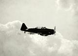 World War II fighter airplane