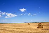 Wide stubble field with hay bales