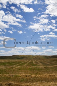 Cloudy summerday stubble field
