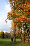 Colorful old autumn park