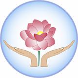 Lotus Raising from Hands