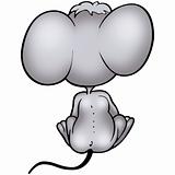 Gray Mouse from the back