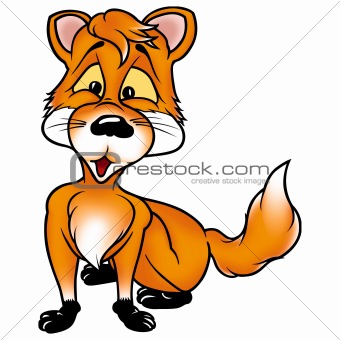 Sweet fox cub
