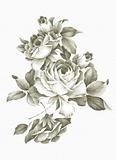 Freehand drawing - rose 001