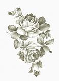 Freehand drawing - rose 002