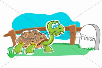 happy tortoise with finish stone