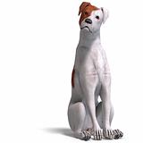 Parson Russel Terrier Dog