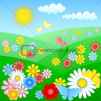 flowering meadow