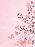  Japanese cherry blossom