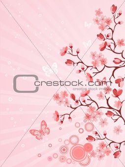  Japanese cherry blossom