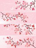 Cherry blossom, banner. Vector illustration  