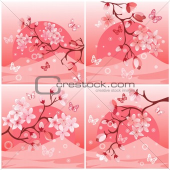  Japanese cherry tree