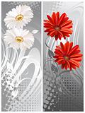 gerbera flowers, two bannera.Vektor illustration