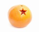 grapefruit star holiday