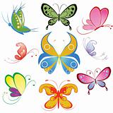 Collection of different multicolored butterfly