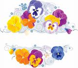 Pansies and forget-me-not