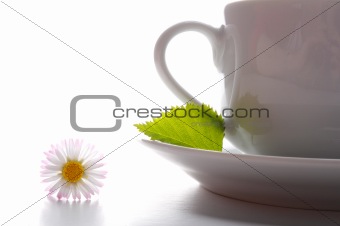 cup of tea or coffee