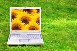 flowers and laptop
