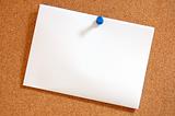 blank sheet of paper on bulletin board