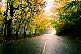 Beautiful road