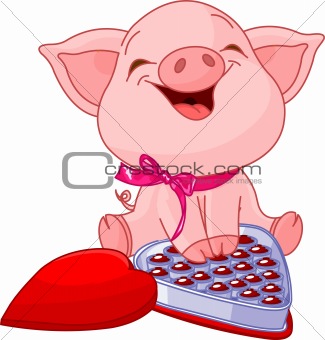 Pretty pig at Valentines Day