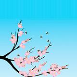 Cherry blossom branch with bees, spring composition