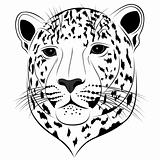 Leopard, tattoo