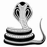 Snake, Cobra, tattoo
