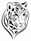 Tiger, tattoo