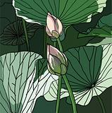  Realistic Oriental lotus - a flower  