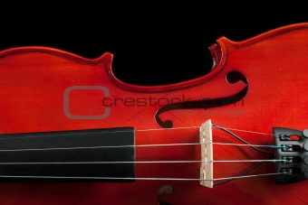 fragment of violin
