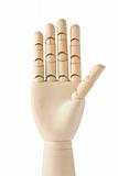 wooden dummy hand with five fingers up