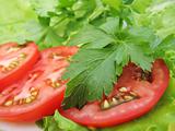 tomatoes, parsley and lettuce