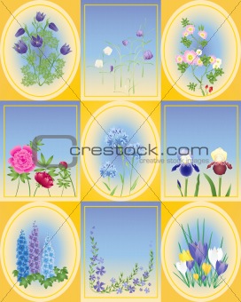 spring and summer flowers