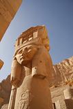 Temple of Queen Hatshepsut Luxor