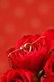 Gold necklace with heart on red rose