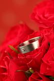 Titanium engagement ring in red rose