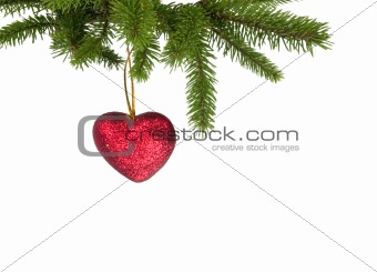 Christmas green branch with red heart on white